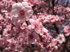 -云川台球(马甸店)