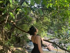 -广州白江湖森林公园