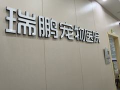 -瑞鹏宠物医院·骨外科·心肾科·肿瘤科(九亭店)