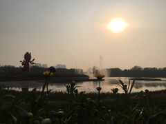 景点-曹州牡丹园