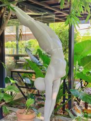 -无界瑜伽普拉提