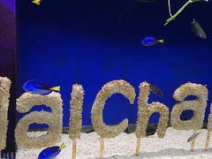-海合安成都极地海洋公园