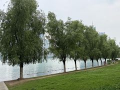 -天鹅湖体育公园