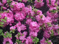 -中国建设银行哈尔滨培训中心