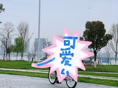 -武昌江滩