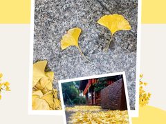 -龙华寺