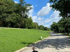 -风云岭森林公园