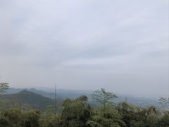 -莫干山风景区