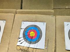 -蓝天射箭馆·专业射箭运动(诚丰广场店)