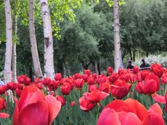 -长春公园(普阳街道)