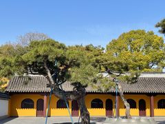 -龙华寺