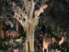 -广东省博物馆