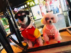 -宠屋宠物美容店