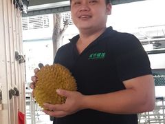 -都念榴莲·城市榴莲