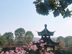 -冶父山国家森林公园