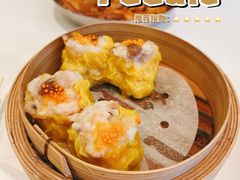 -美心皇宫(屯门大会堂店)