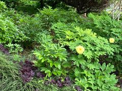 -狼山风景名胜区