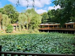 -巴山一绝烤全羊(三圣乡刘家花园店)