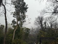 -灵顺寺