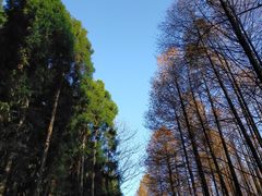 -山王坪喀斯特国家生态公园