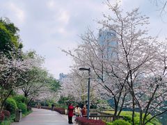 -百林公园-两江幸福广场