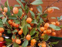 -山里屯铁锅炖·东北菜(康桥店)