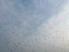 -嘉北郊野公园