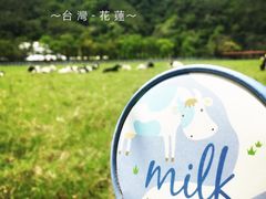 -瑞穗牧场