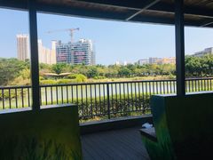 -福田红树林生态公园