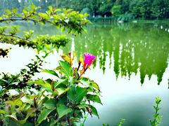 -桃花岛公园