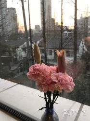 -知爱母婴专护全套房月子会所(新华路店)