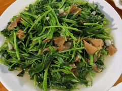 杏鲍菇炒菜苖-温州一家人美食(西木头市店)