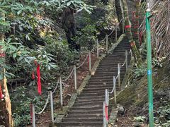 -七仙岭温泉国家森林公园