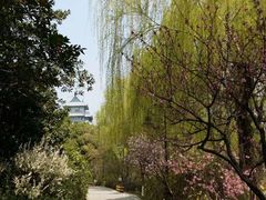 -金鸡湖桃花岛