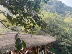 -南山植物园