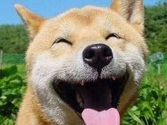 -莫多多餐厅