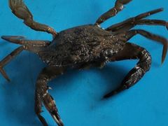 -青岛第三海水浴场