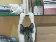 -晋阳饭庄(虎坊桥店)