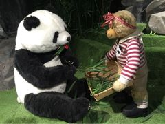 -成都泰迪熊博物馆