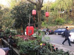 -国生茶庄·地道农家菜团建活动