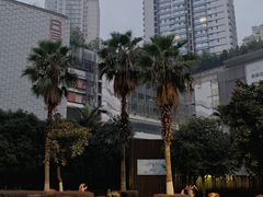 -日月光中心广场