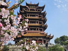 -黄鹤楼公园(黄鹤楼)