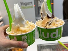 -Salud撒露欧洲冻酸奶(蓝色港湾店)