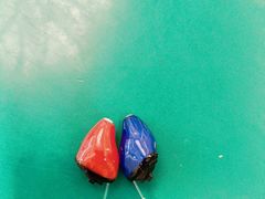 -海之声助听器 瑞士峰力直营中心(华麟大厦店)