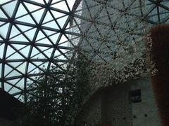 大堂-深圳大梅沙京基洲际度假酒店