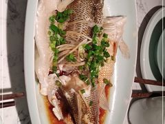 -大榕树下顺德菜(融创茂店)