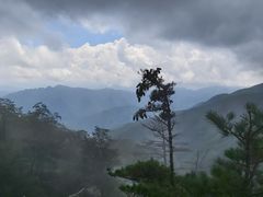 -牛背梁国家森林公园