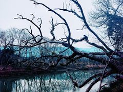 -炎帝陵景区