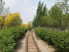 -西青郊野公园