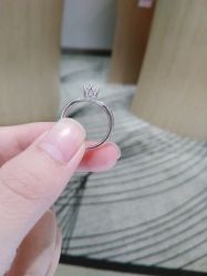 -钻石小鸟钻戒婚戒定制(石路店)